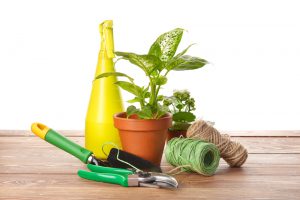 indoor gardening supplies