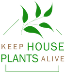 Keep House Plants Alive