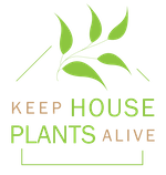 keep house plants alive