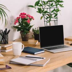 Indoor Plants That Clean The Air And Remove Toxins … And More! indoor plants that clean the air and remove toxins