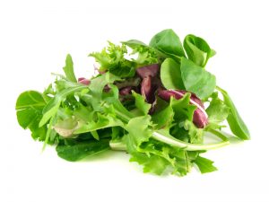 indoor gardening systems