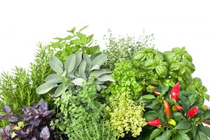 indoor vegetable garden kit