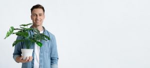 house plant watering