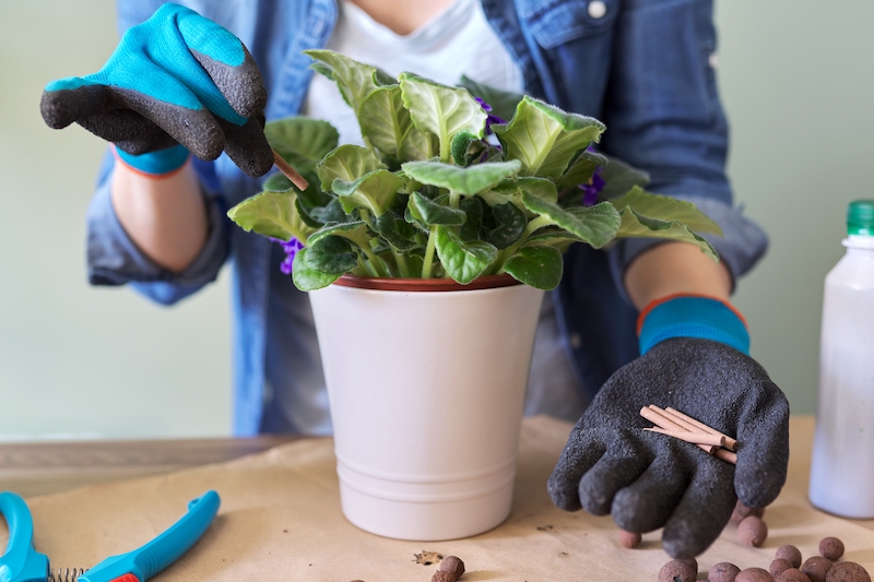 Indoor Plant Fertilizer