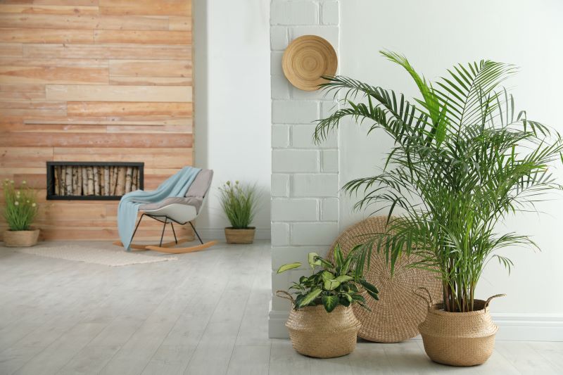 The Best Indoor Palms And How To Care For Them